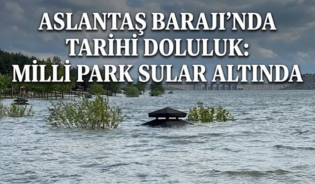 Görüntüler Videoda! Osmaniye Aslantaş Barajı'nda doluluk rekoru kırıldı