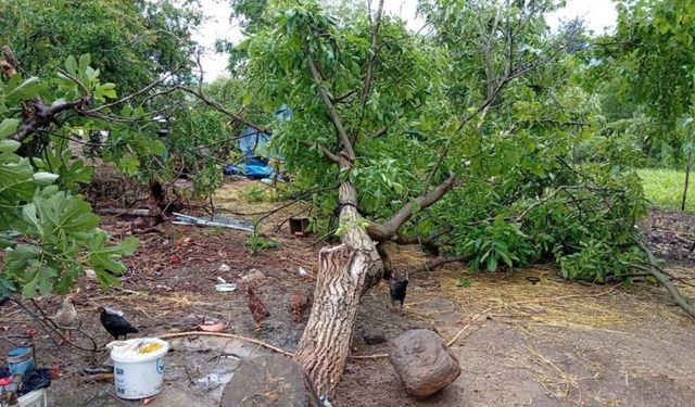 Osmaniye Düziçi’ni Hortum Vurdu! Bostanlar Köyünde Korku Dolu Anlar