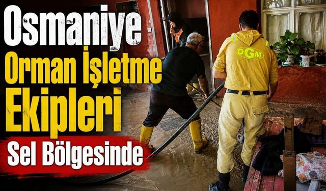 Osmaniye Orman İşletme Ekipleri Sel Bölgesinde