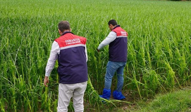 Yağışın Vurduğu Osmaniye'de Üretici İçin Seferberlik!