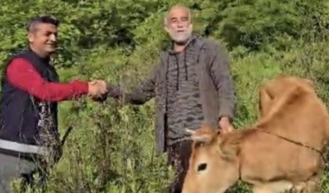 Osmaniye'de Uçuruma Düştü 2 Gün Sonra Kurtarıldı
