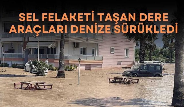 Sel Felaketi Taşan Dere Araçları Denize Sürükledi