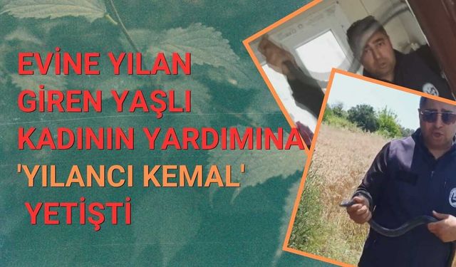 Evine Yılan Giren Yaşlı Kadının Yardımına 'Yılancı Kemal' Yetişti
