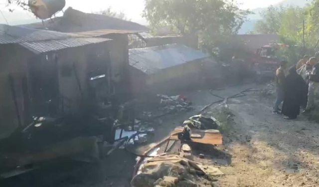 Kozan'da Yayla Evinden Ormana Sıçrayan Yangın Söndürüldü
