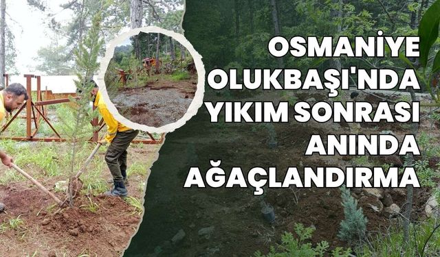 Osmaniye Olukbaşı'nda Yıkım Sonrası Anında Ağaçlandırma