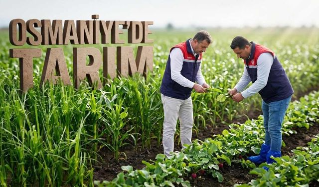 Osmaniye’de En Çok Hangi Tarım Ürünleri Yetişir?