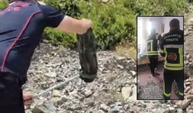 Osmaniye'de yılan rulo halıdan çıktı