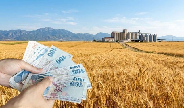 Osmaniyeli Çiftçilerin Beklediği Haber Geldi! TMO 2026 Yılı Hububat Alım Fiyatlarını Açıkladı!