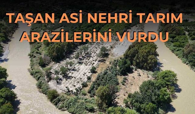 Taşan Asi Nehri Tarım Arazilerini Vurdu