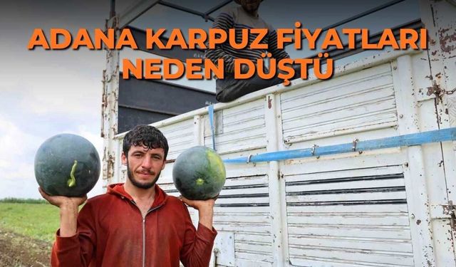 Adana karpuz fiyatları neden düştü