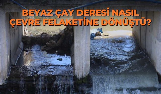 Beyaz Çay Deresi nasıl çevre felaketine dönüştü?