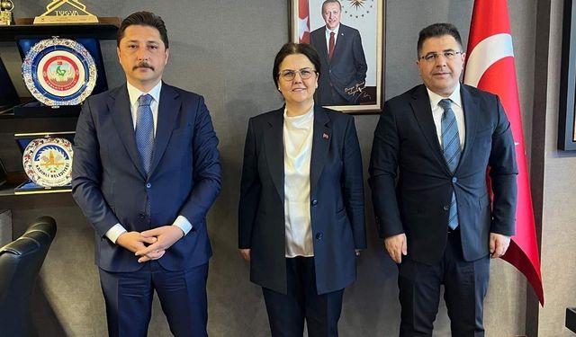 Cezaevlerinde İnsan Hakları Standartları TBMM'de Masaya Yatırıldı
