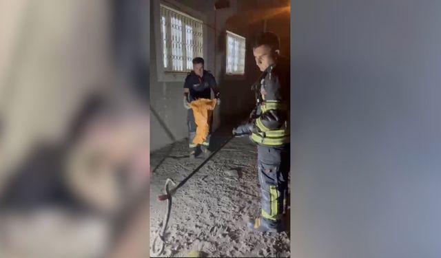 Evde Zehirli Engerek Çıktı! İtfaiyeden Vatandaşlara Kritik Uyarı