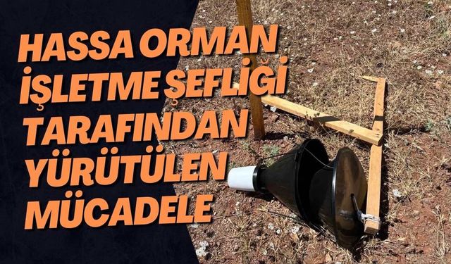Hassa Orman İşletme Şefliği tarafından yürütülen mücadele