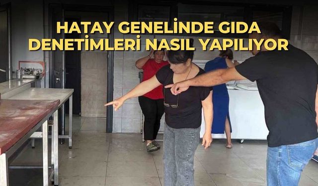 Hatay genelinde gıda denetimleri nasıl yapılıyor