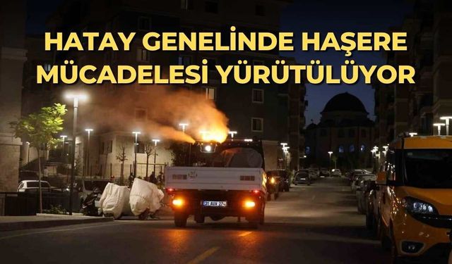 Hatay genelinde haşere mücadelesi  yürütülüyor
