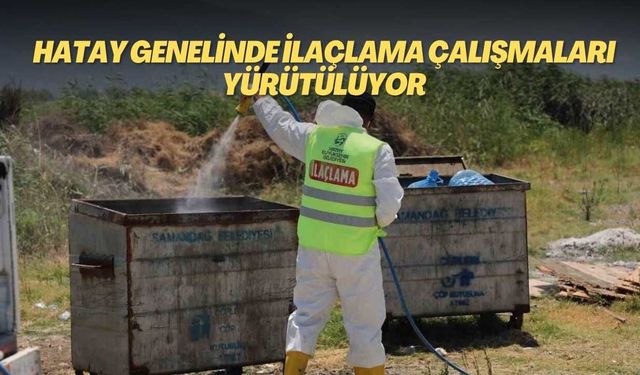 Hatay genelinde ilaçlama çalışmaları yürütülüyor