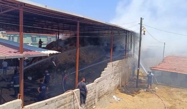 Kumlu ilçesindeki yangın nasıl başladı