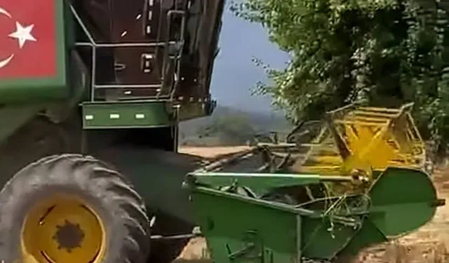 Tohum Desteği Verimi Artırdı! Hasanbeyli'nde Hasat Heyecanı