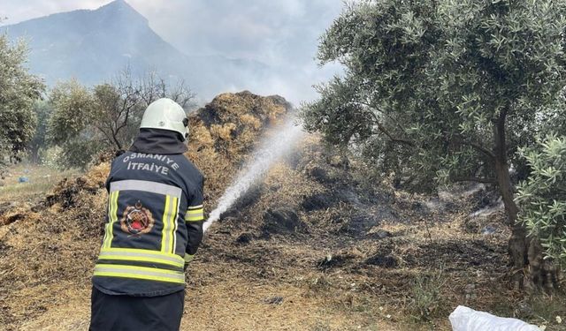 Osmaniye'de Korkutan Yangın! Mahallenin Çocukları Yaktı, Bin 200 Balya Kül Oldu