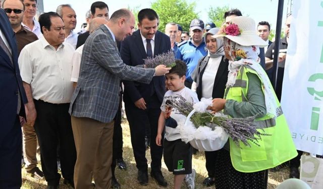 Osmaniye'de Lavanta Bahçesinin Geliri SMA Hastası Uygur'a Umut Olacak!