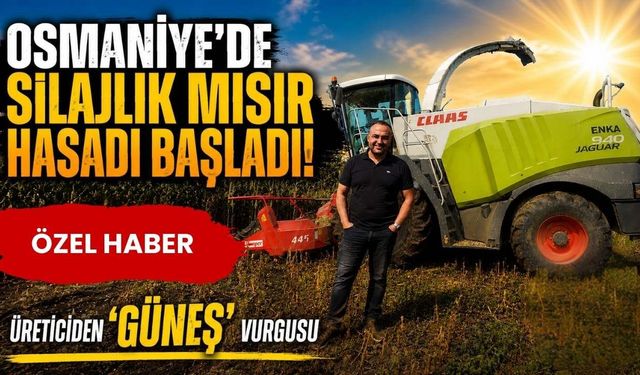 Osmaniye'de Silajlık Mısır Hasadı Başladı! Üreticiden 'Güneş' Vurgusu
