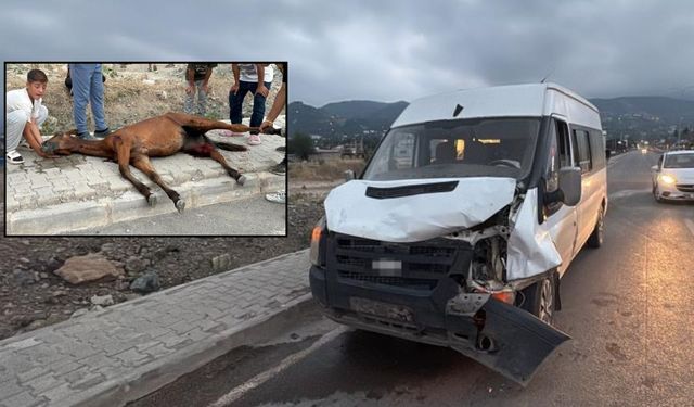 Osmaniye'de Yolcu Otobüsü Ata Çarptı