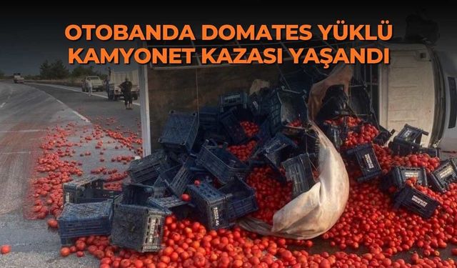 Otobanda domates yüklü kamyonet kazası yaşandı