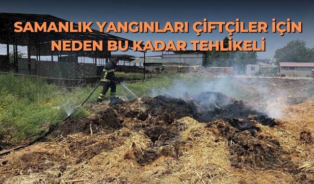 Samanlık yangınları çiftçiler için neden bu kadar tehlikeli