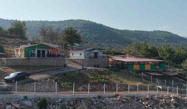 Sokağa terk edilen sevimli dostlar için önlemler alındı