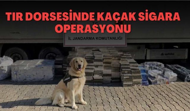Tır dorsesinde kaçak sigara operasyonu