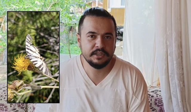 Ana Vatanı Kuzey Amerika Olan Nadir Tür Osmaniye Yaylalarında Ortaya Çıktı