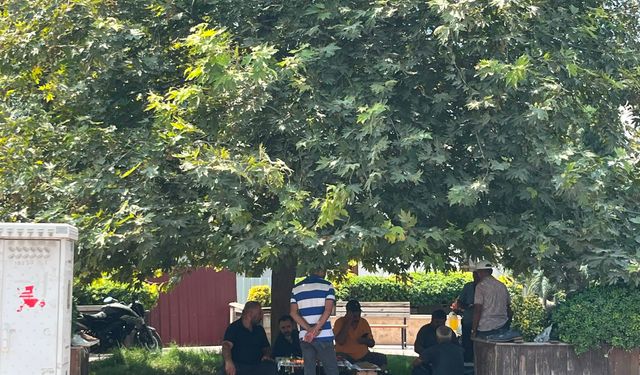 Osmaniye’de Kavurucu Sıcaklar Hayatı Zorluyor