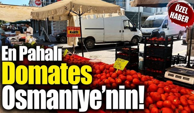 En Pahalı Domates Osmaniye'nin!