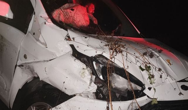 Osmaniye'de Gazeteci Fatih Balcılar ve Ailesi Kaza Geçirdi