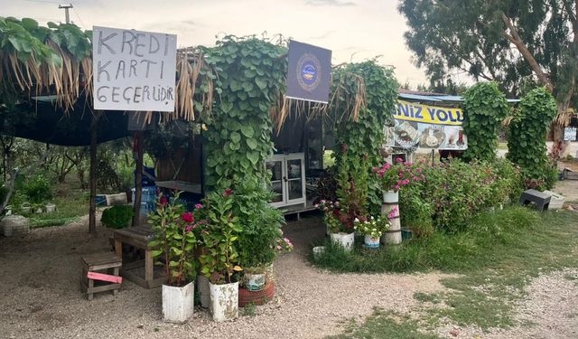 İmparatorluklar Geçti, O Hâlâ Ayakta! Tarihe Meydan Okuyan Yaşam