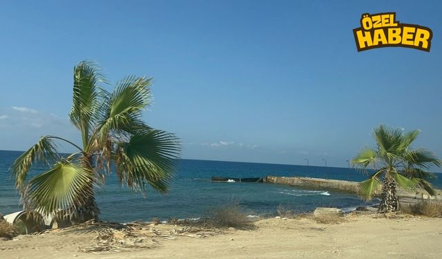 Özel Beach'leri Kıskandıran Ücretsiz Koy
