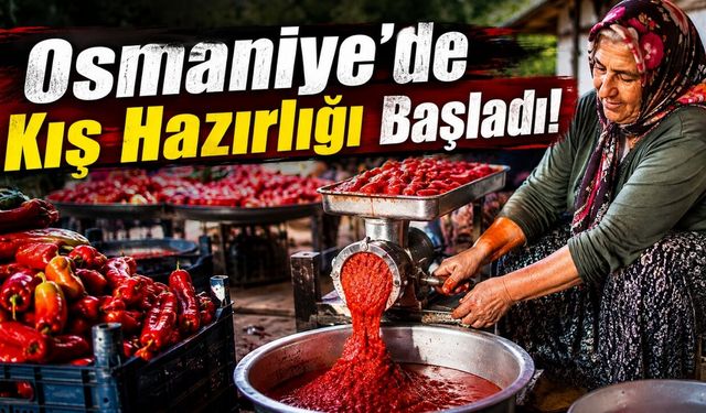 Osmaniye'de Salçalık Biber Mesaisi Başladı