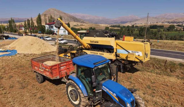 Tufanbeyli Pınarlar Mahallesinde nohut hasadı başladı