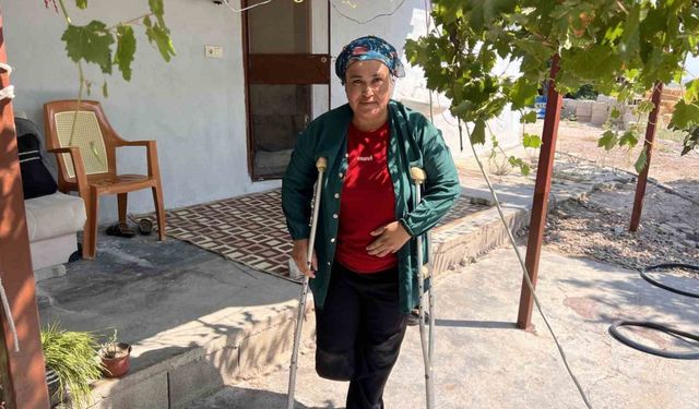 Yıllardır sürünerek yaşayan Emine Şirin protez bacak istiyor