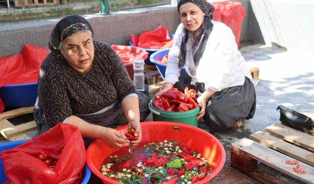 Adana Kozan'da salça sezonu apartman damlarında başlatıldı