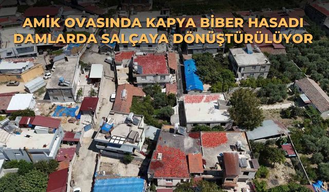 Amik Ovasında kapya biber hasadı damlarda salçaya dönüştürülüyor
