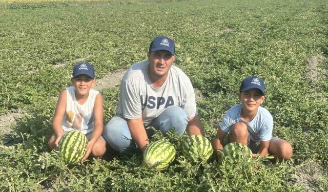 Hatay'da Ata Tohumu Karpuzda Rekolte Sevinci