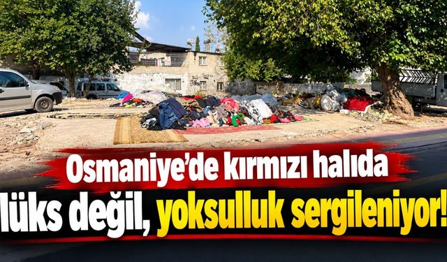Osmaniye'de kırmızı halıda lüks değil, yoksulluk sergileniyor!