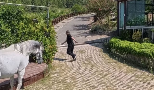 Osmaniye'de Klip Çekilirken Facianın Eşiğinden Dönüldü