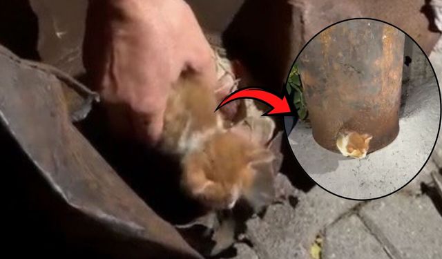 Osmaniye’de Soba Kovasına Sıkışan Yavru Kedi İtfaiye Tarafından Kurtarıldı
