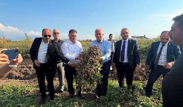 Yeni Parti Heyeti Sahada