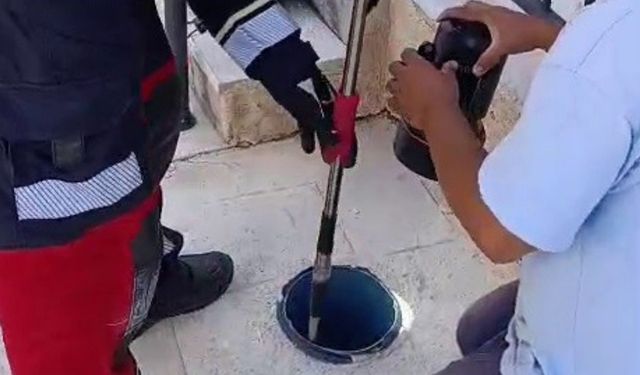 Hatay Reyhanlı'da Havalandırma Borusuna Düşen Yavru Kedi Nasıl Fark Edildi