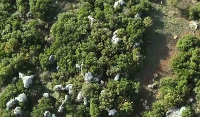 Hatay'da Kenevir Operasyonu Nasıl Düzenlendi