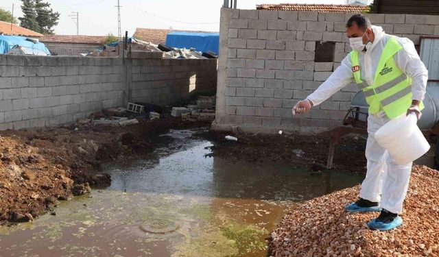 Hatay'da Şap Hastalığına Karşı Karasinek Mücadelesi Neden Başlatıldı